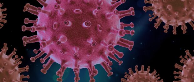 virus-4937553_1920 corona skat